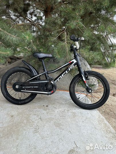 Велосипед детский focus raven rookie 16R