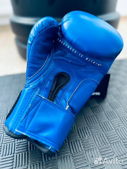 Боксерские перчатки Everlast Amateur 10 oz
