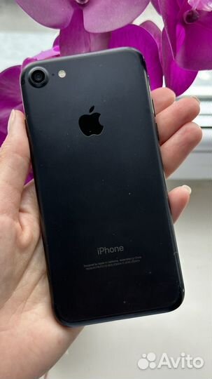 iPhone 7, 256 ГБ