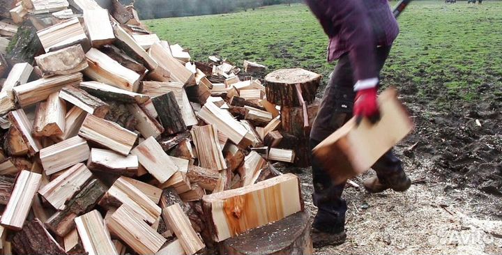 Дрова подсушенные