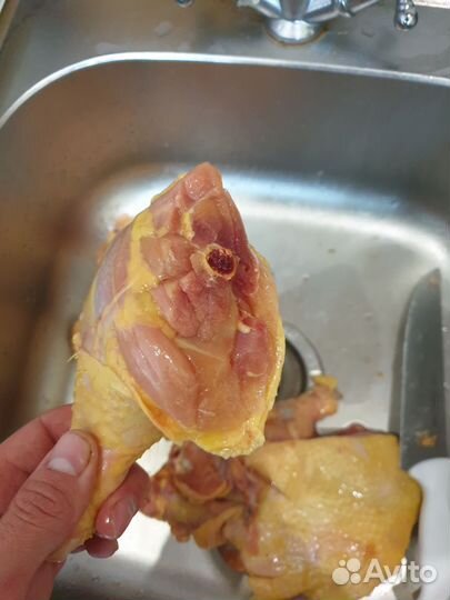 Мясо Броилера