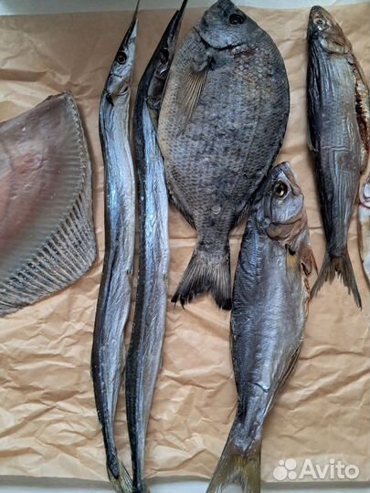 Черноморская вяленая и хк Барабулька Сарган Бычки