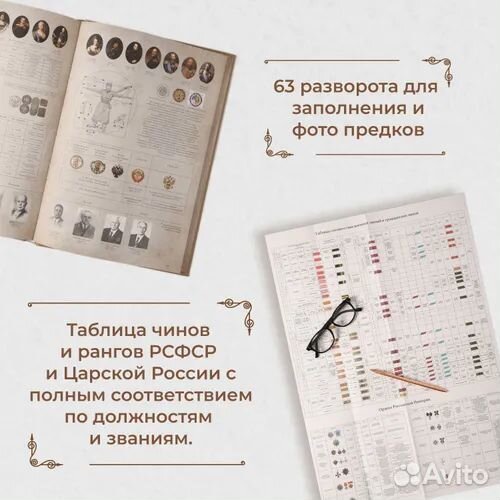 Моя династия. Гринева А.А