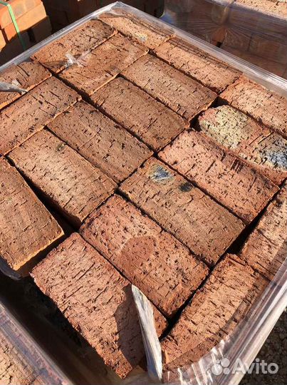 Кирпич пластичка забутовочный
