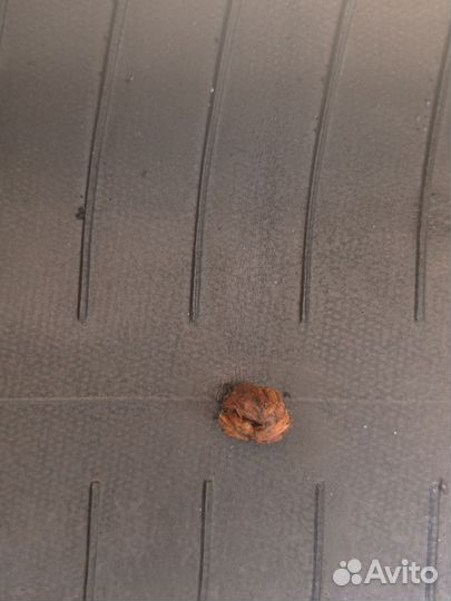 КАМА Grant (НК-241)