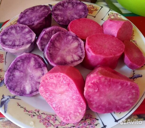 Семенной картофель Барс, Уника, Лапоть, Адретта