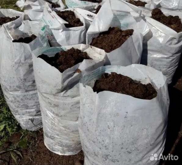 Навоз перегной в мешках, коровяк