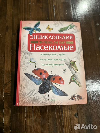 Энциклопедия про насекомых