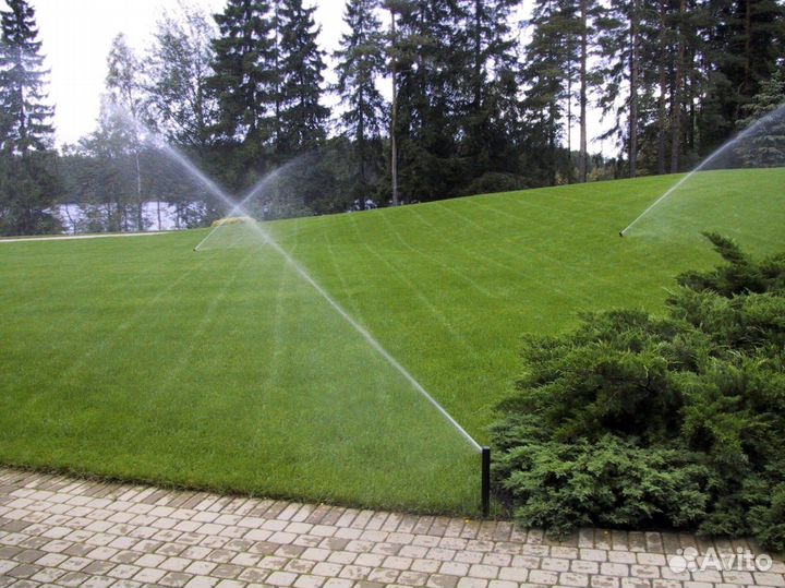Рулонный газон с укладкой