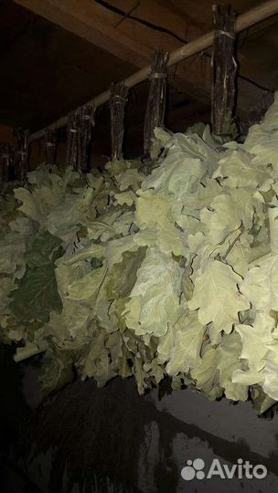 Веники для бани