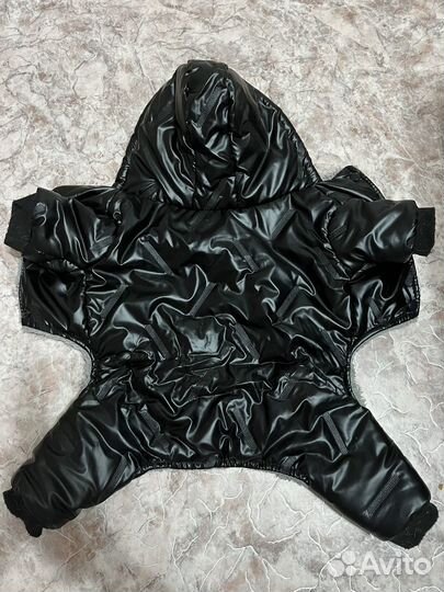 Одежда для маленьких пород собак