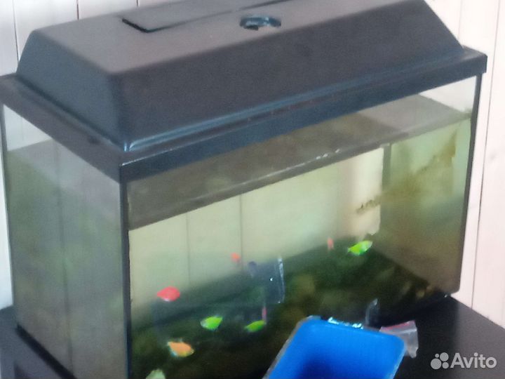Аквариум 60 литров