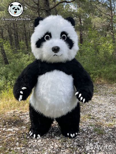 Ростовые куклы экспресс поздравления