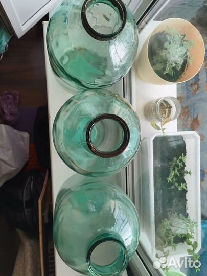 Банки 10 литров