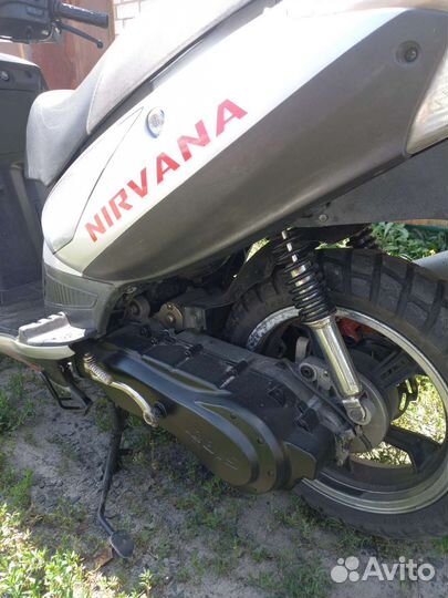 Ирбис Нирвана