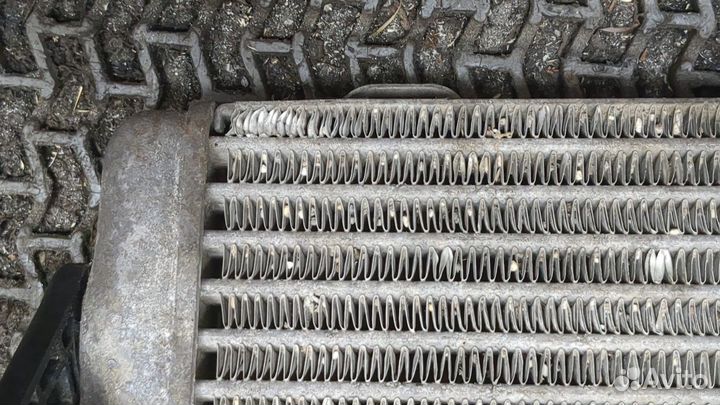 Радиатор масляный BMW 5 E39, 1998