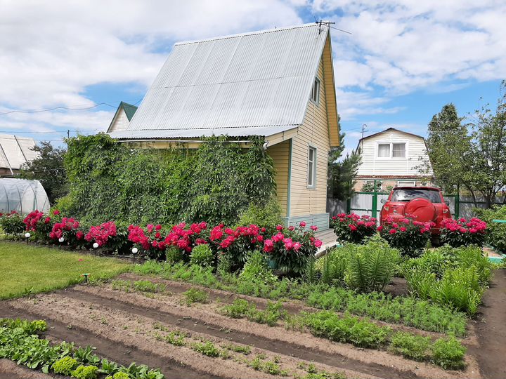 Дача 31 м² на участке 6 сот.