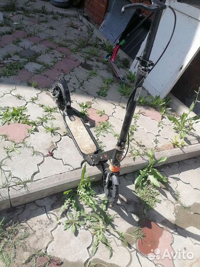 Самкат