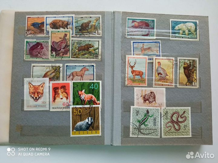 Альбом с марками: флора и фауна 1960-1980 гг