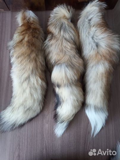 Лисий хвост