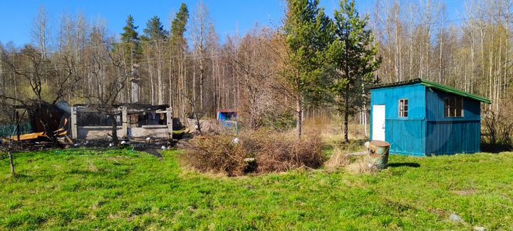 Участок 10 сот. (СНТ, ДНП)