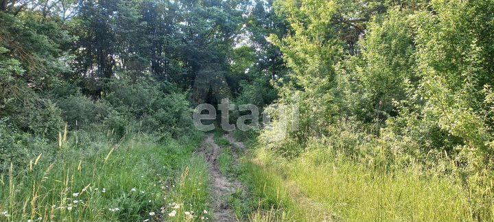 Участок 12,7 сот. (СНТ, ДНП)