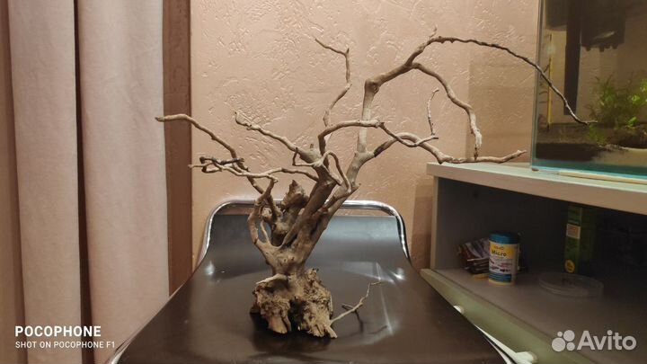 Коряга в аквариум