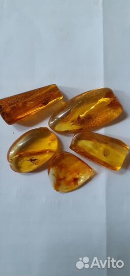 Янтарь с инклюзами 5 шт