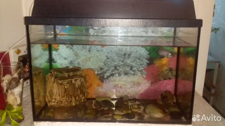 Аквариум