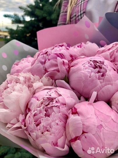 Пионы Розы Доставка