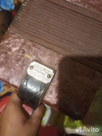 Гармонь Кубань