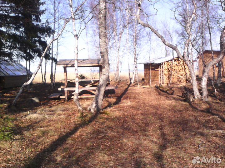 Охота на побережье белого моря