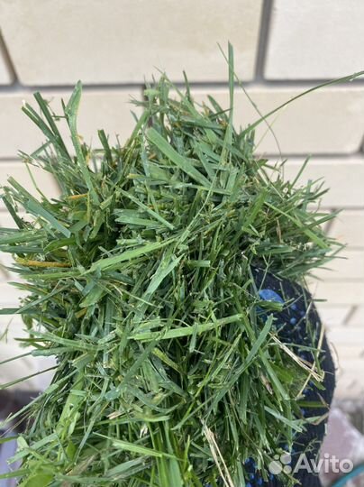 Мульча травы