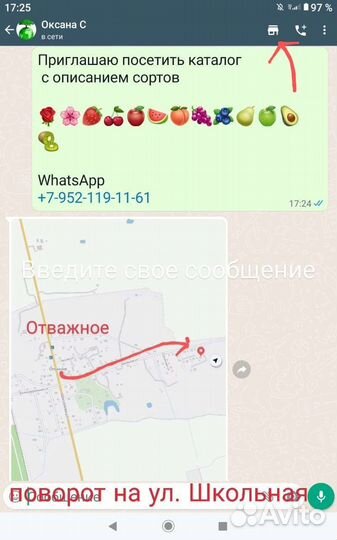 Роза Мария Терезия саженцы