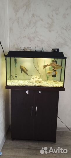 Аквариум с тумбой