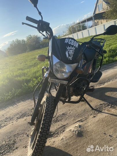 Alpha rs 12