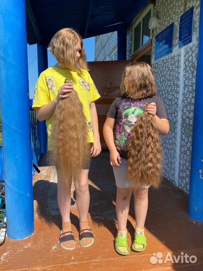 Скупка волос