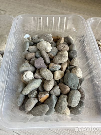 Камни для аквариумов / флорариумов
