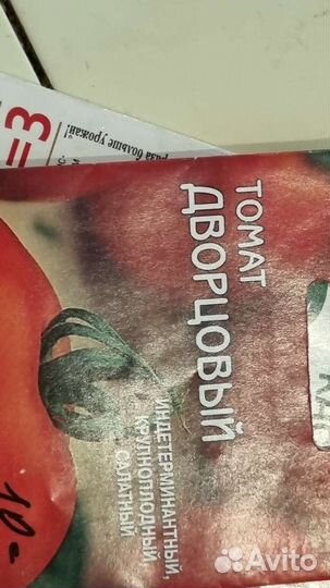 Рассада помидоров готовая