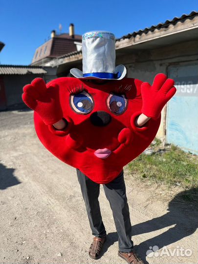 Костюм ростовой куклы