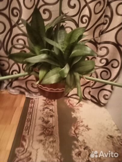 Аквариум круглый на стойке для крепления цветов