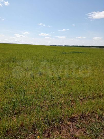 Участок 4,25 га (СНТ, ДНП)