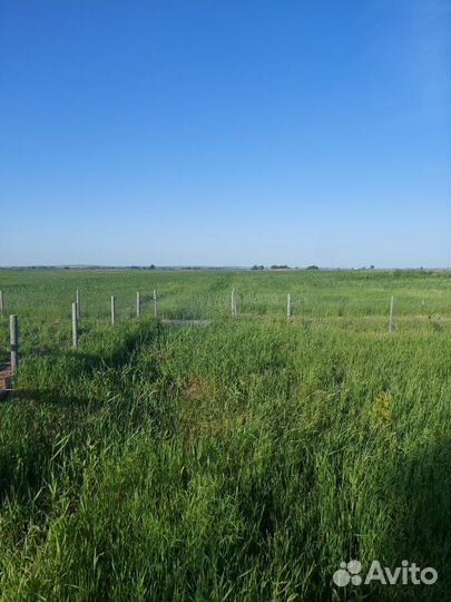 Ферма на земельном участке 16 Га