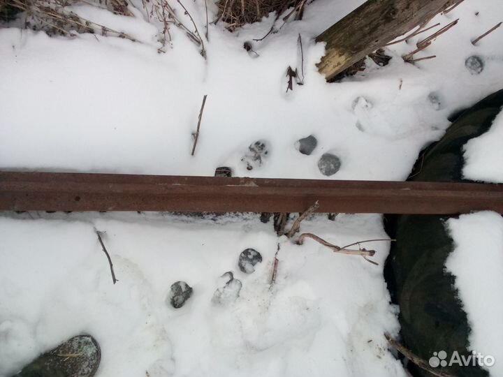 Ленточная пилорама