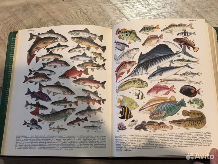 Большой энциклопедический словарь. Биология