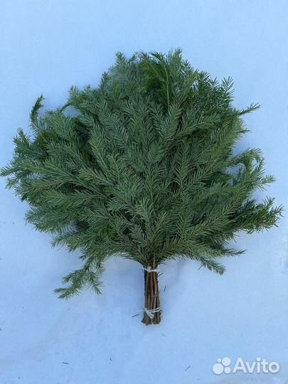 Веники для бани. Береза, дуб Только оптом от 100шт