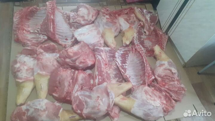Мясо свинина домашняя