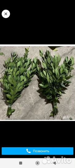 Веники из лаврового листа