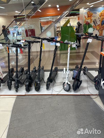 Аренда электросамоката