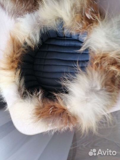 Шапка мужская из меха